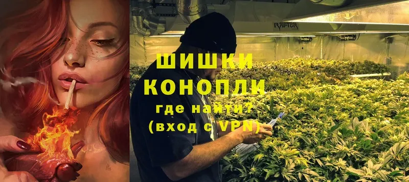 Марихуана Bruce Banner  Анжеро-Судженск 